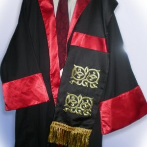 Akademik Cübbe / Biniş
